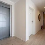 Solaris 1 Mit Balkon, Hundefreundlich Und Modern